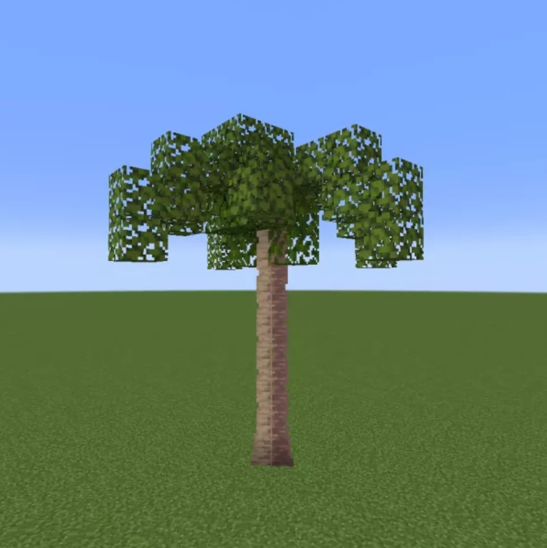 tree.jpg